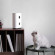 Dispensador de Alimentos com Câmara Xiaomi Pawbby Dog Camera & Treat Cam  MG-PSM001eu - ONBIT